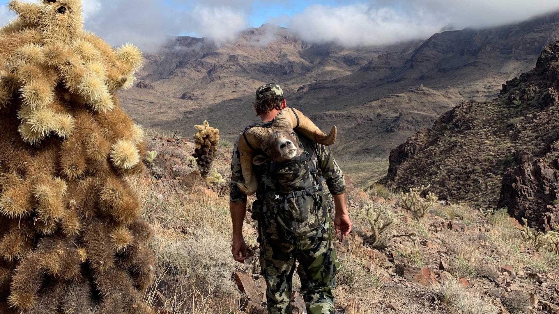 Ram Down | Jeff Fraser’s Once-in-a-Lifetime Arizona Sheep Hunt