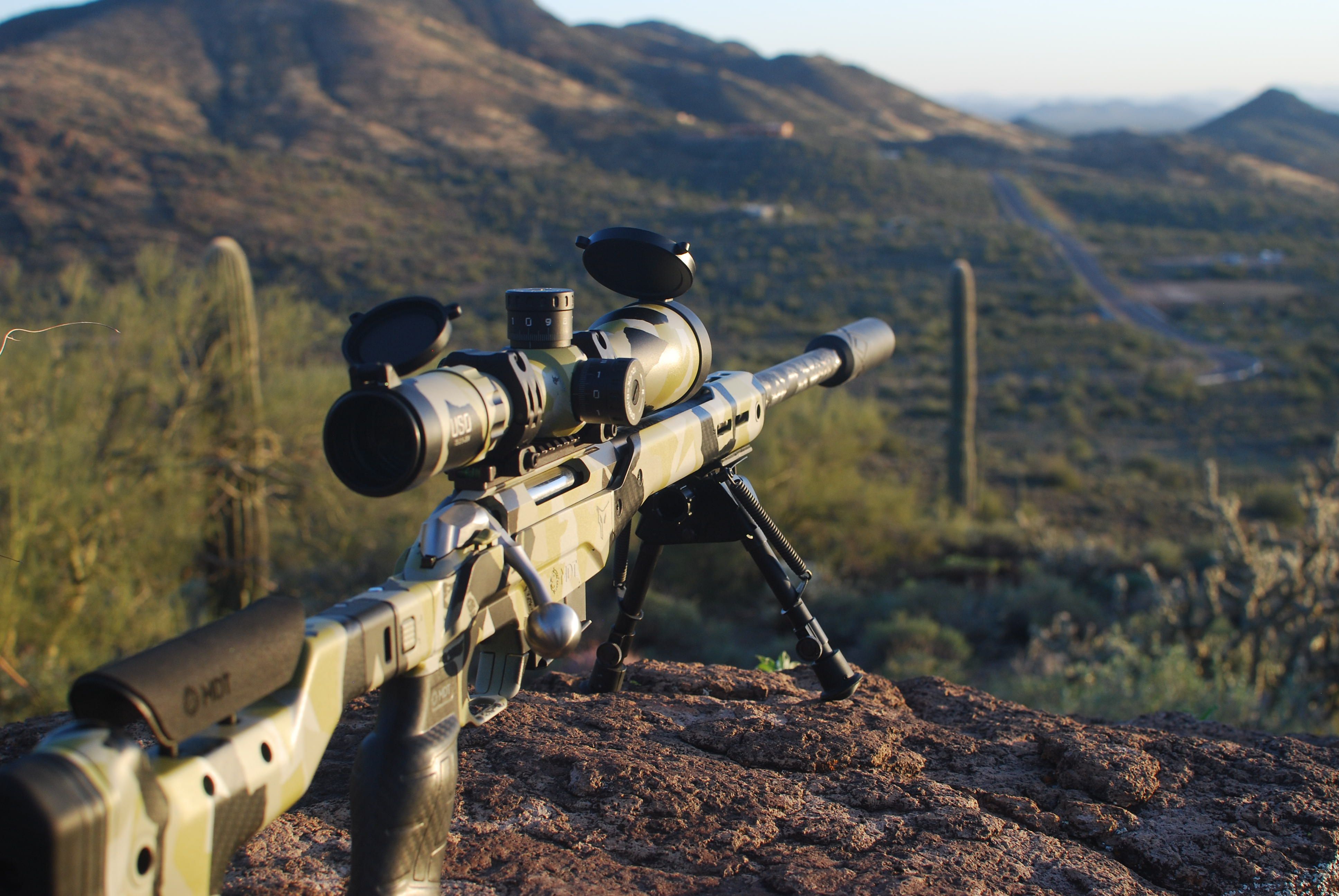 Tactical Rifle Setup