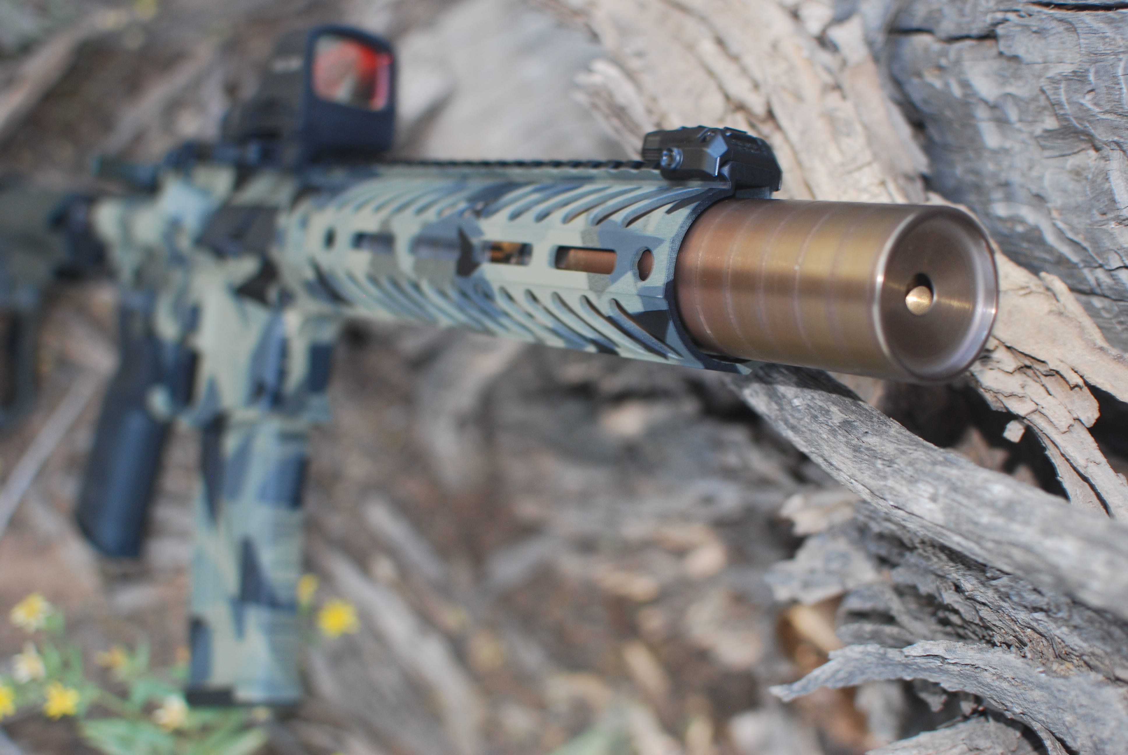 Custom Firearm Build
