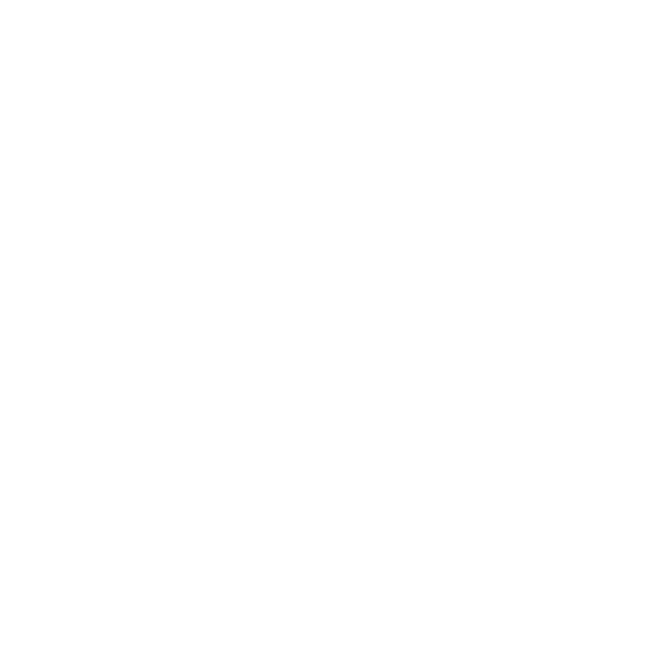 Carnimore Logo